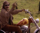 The Huffington Post: Recalling the end of “Easy Rider.” Ten Reasons Why Hillary Clinton Lost The White House